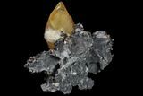 Calcite, Sphalerite, Fluorite & Celestine (Celestite) Association - Tennessee #89702-1